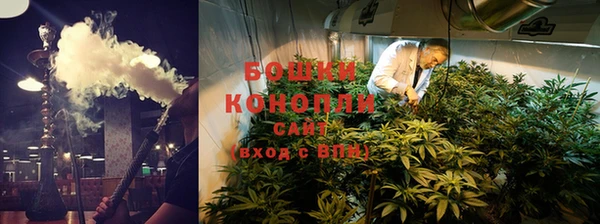 ПСИЛОЦИБИНОВЫЕ ГРИБЫ Балабаново