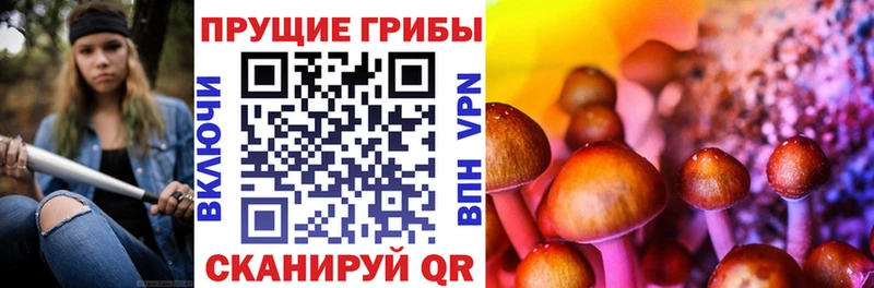 даркнет сайт  Кондрово  Псилоцибиновые грибы ЛСД 